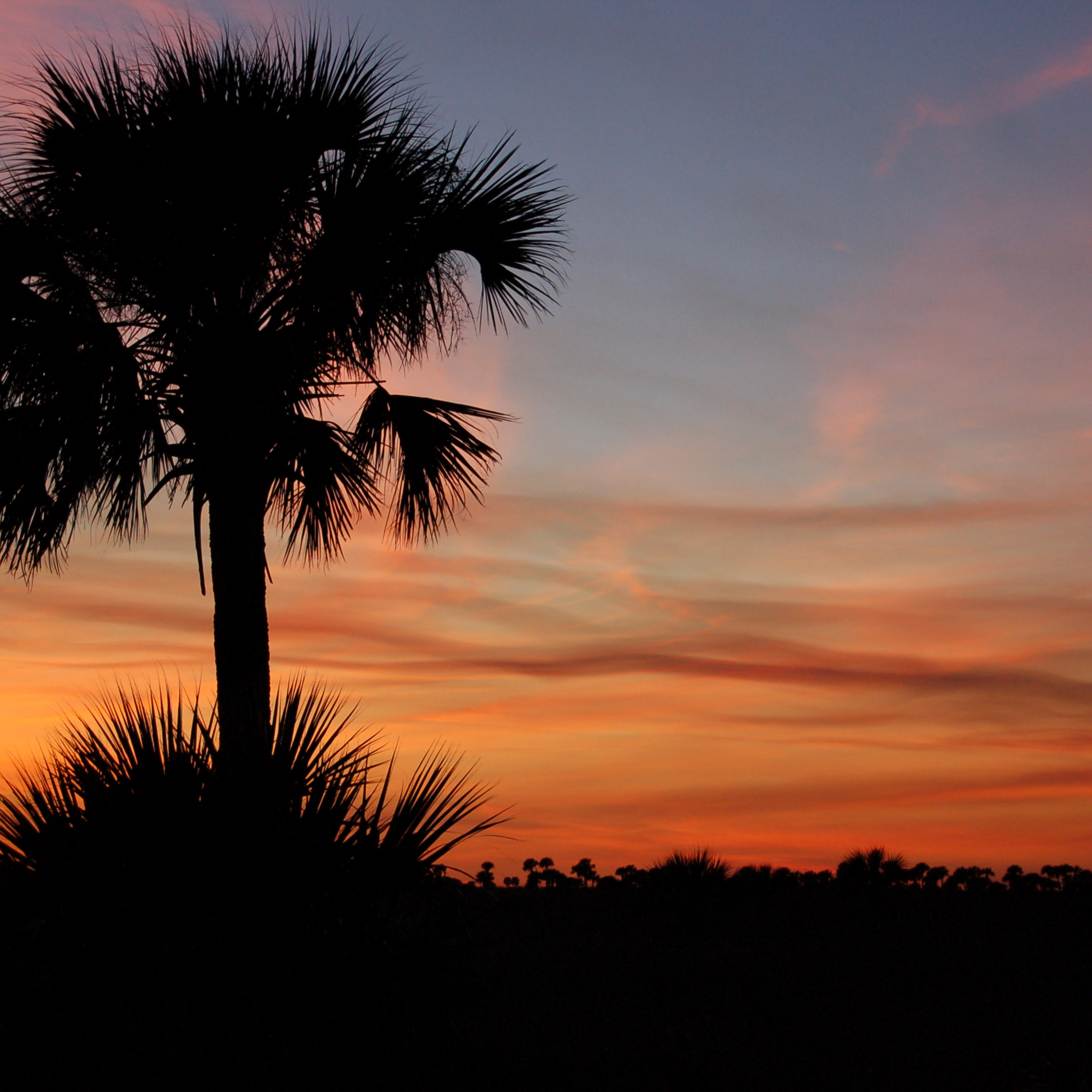THE FLORIDA SUNSET PREMIUM STEAK SAMPLER